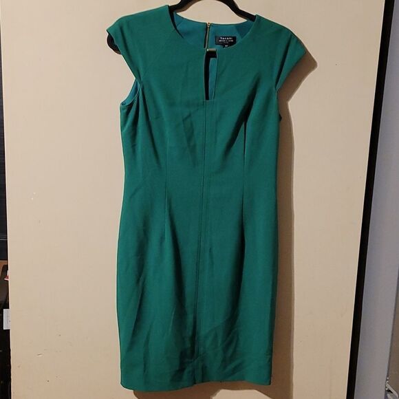 Beautiful Tahari dress 👗 Size 4P - Picture 1 of 6